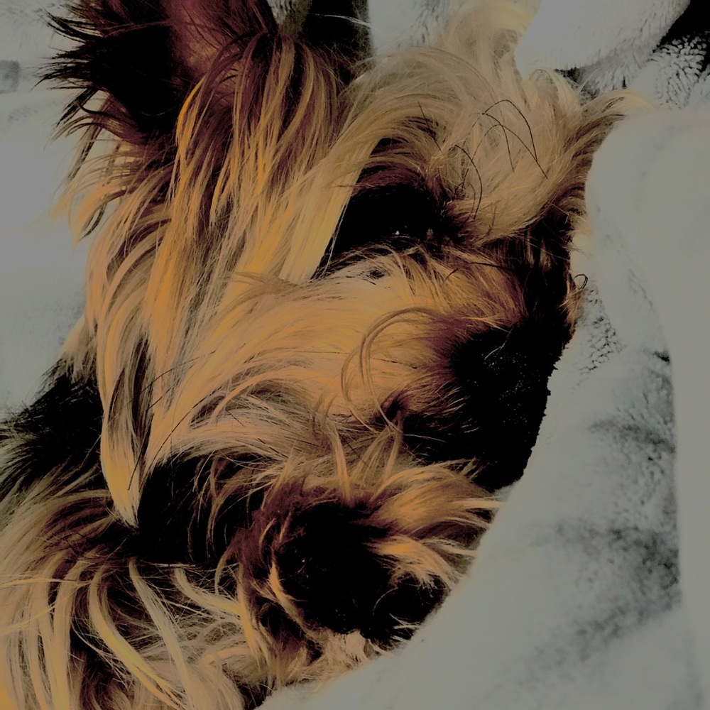 Meet your Posher, Vlad